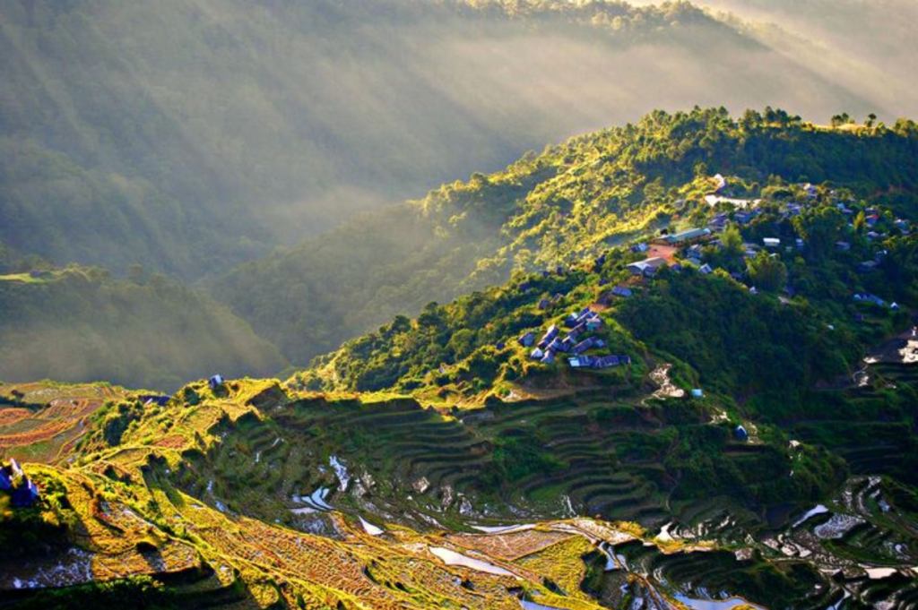 environment, sustainability, and climate resilience