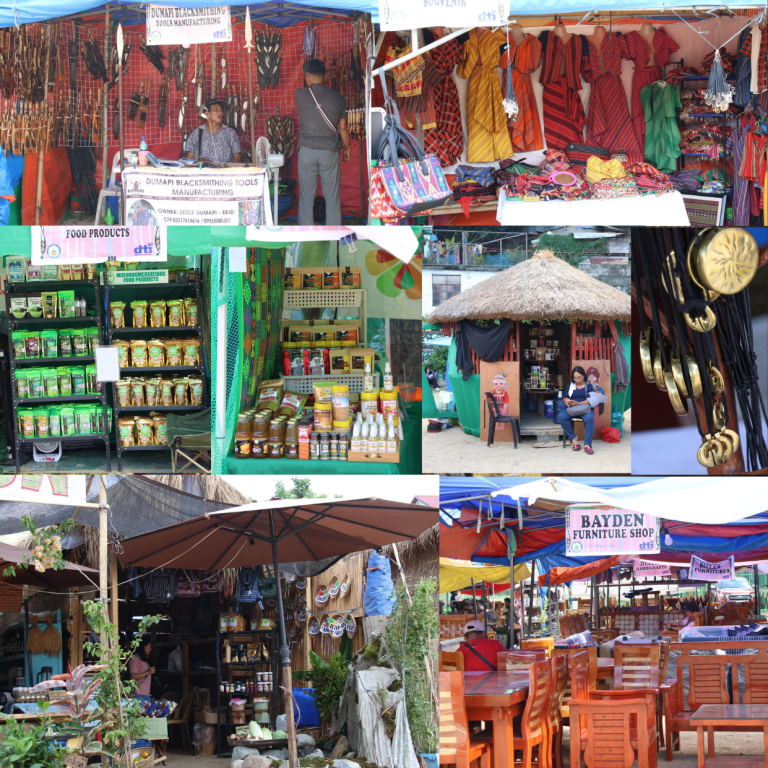 indigenous entrepreneurship & innovation
